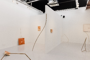 Aki Hassan, Entangled Attachments, 2023, Installation view, Photo by Marvin Tang